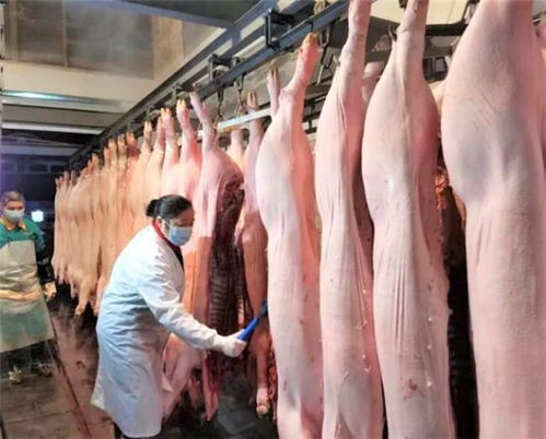 璧山区 疫情防控不松懈，春耕备耕保供应，家禽养殖促增收