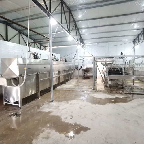 全自动鸭鹅屠宰流水线 从家禽养殖到高效屠宰的现代化解决方案